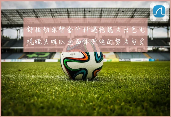 舒梅切尔赞舍什科逼抢能力出色电视镜头难以全面体现他的努力与贡献
